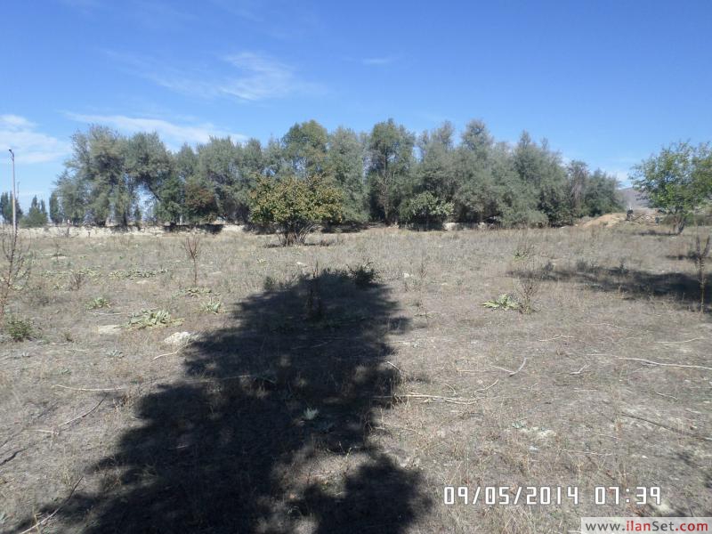 afyon cay akkonak koyunden satilik arsa satilik arsa tarla arazi cay afyon
