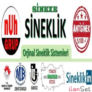 Kilitli sineklik