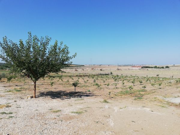 Satılık bahçeli ev Satılık Bina Yumurtalık Adana