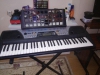 Yamaha psr 175 org