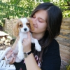 Aile iin cavalier king charles yavrular