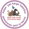 Aslan pet kargo tama istanbul