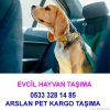 Aslan pet kargo tama istanbul