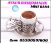 Aynur danmanlk