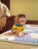 Bebek kapuin maymunlar bez eitimi ald