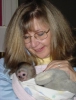 Beyaz burunlu capuchin maymunu, yeniden ev sahiplii yapmak