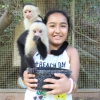 Beyaz yz capuchin maymun