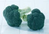 Brokoli green magic f1 tohumu