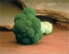 Brokoli marathon f1 tohumu