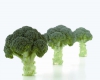 Brokoli naxos f1 tohumu