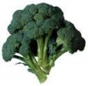 Brokoli -roket tohumu