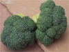 Brokoli samson f1 tohumu