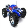 BSD Racing 1/8 Nitro Truggy