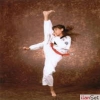 bursa nilfer kungfu wushu taekwondo yakn savunma spor