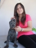 iftliimizden st kalite cane corso yavrular