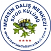 Dal kurslar