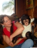 Erkek ve kadın bebek şempanze monkeys benimseme için