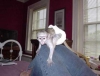 Evlat edinme capuchin maymunlar
