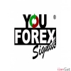 Forex piyasasi