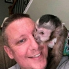 #genç degerli capuchin maymunlari###