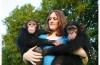 Gzel bebek empanze ve bebek capuchin maymunlar artk mevc