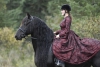 Gzel friesian at