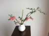Ikebana/japon iek dzenleme sanat