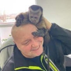 Inanilmaz kapuin maymunu