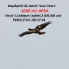 stanbul kiralk depolar 10.000m2+10.000m2 iyerleri