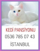 Kedi  bakm evi