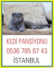 Kedi  bakm evi