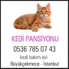 Kedi pansiyonu bykekmece