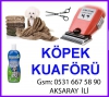 Kpek kuafr aksaray