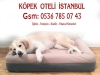 Kpek oteli istanbul