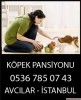 Kpek oteli  istanbul