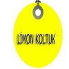 limon koltuk deme