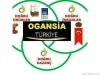 Ogansa network marketing partime pazarlama evden pazarlama