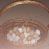 Organik tavuk ve rdek yumurtas