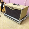 peavey gitar anfi case anta