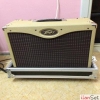 peavey gitar anfi case anta