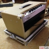 peavey gitar anfi case anta