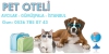 Pet oteli avclar - istanbul