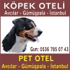 Pet oteli  avclar - istanbul