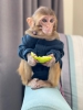 Referanslı güvenilir alışverişin tek adresi🐒