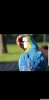 Sar lacivert konuan macaw