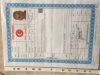 Saryer maden de boaz gren yerde hsel arsa