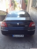 Satlk peugeot 407 temizcilere