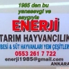 Satılık üzüm posası