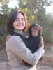 Satlk ve evlatma iin bebek chmpanzee maymunu