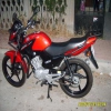 satlk ybr  2014 esd modeli motor